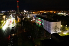 Egles-iziebimas-38