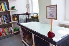 2020_10_20_Rimku-biblioteka_atidarymas43